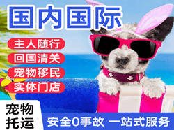 珠海航空物流国际宠物托运 【国